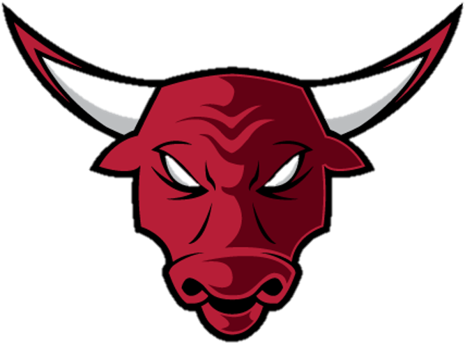 Help Needed With Kits And Badges - Branson Bulls Baseball (701x593), Png Download