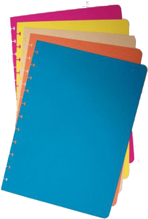 A4-dividers - Disc-binding (600x857), Png Download