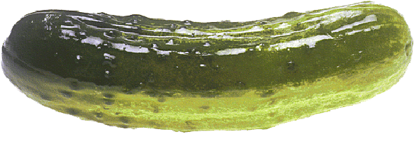 Pickle Png - Pickill Myself Meme (600x237), Png Download