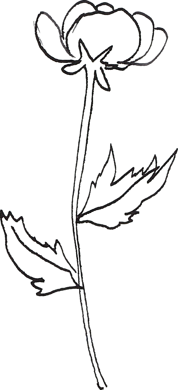 0℃素材157 - Line Art (745x1630), Png Download