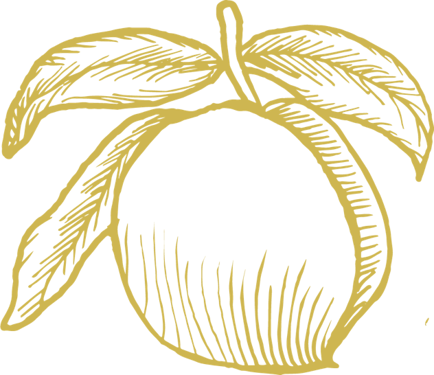 Png Royalty Free Stock Peaches Drawing Ink - Illustration (632x546), Png Download