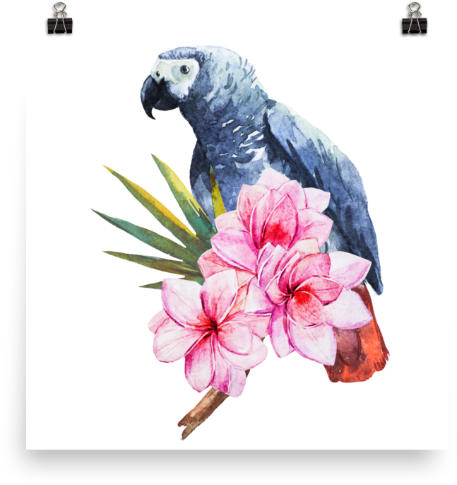 Orange Venue Papağan Ve Çiçek Kırlent Kılıfı - 45x45 (1000x1000), Png Download