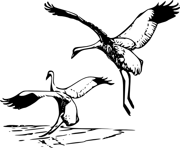 Free Vector Whooping Crane Clip Art - Sandhill Crane Clip Art (600x494), Png Download