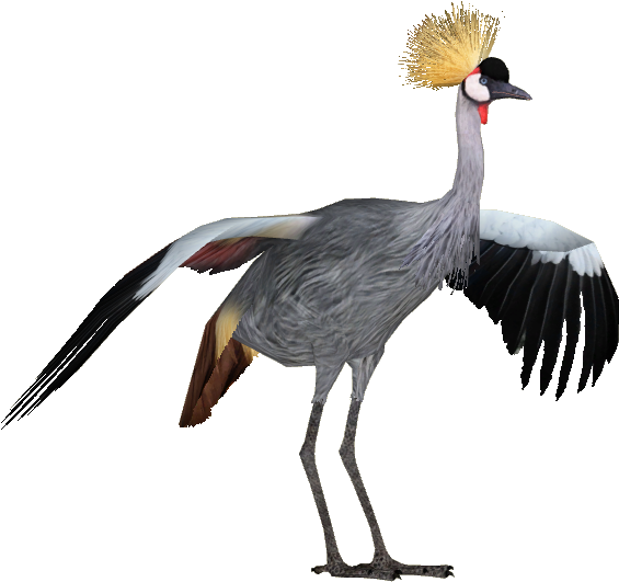 Grey Crowned Crane - African Crowned Crane Toy (564x564), Png Download
