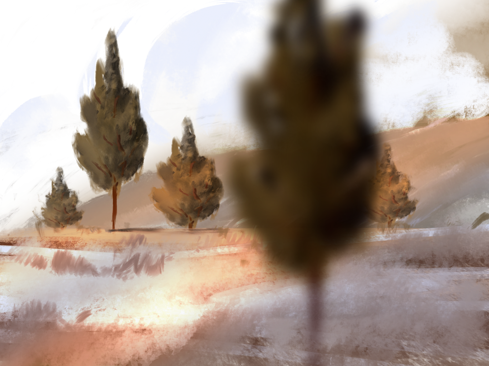 Feild 003 - Portable Network Graphics (1600x1199), Png Download