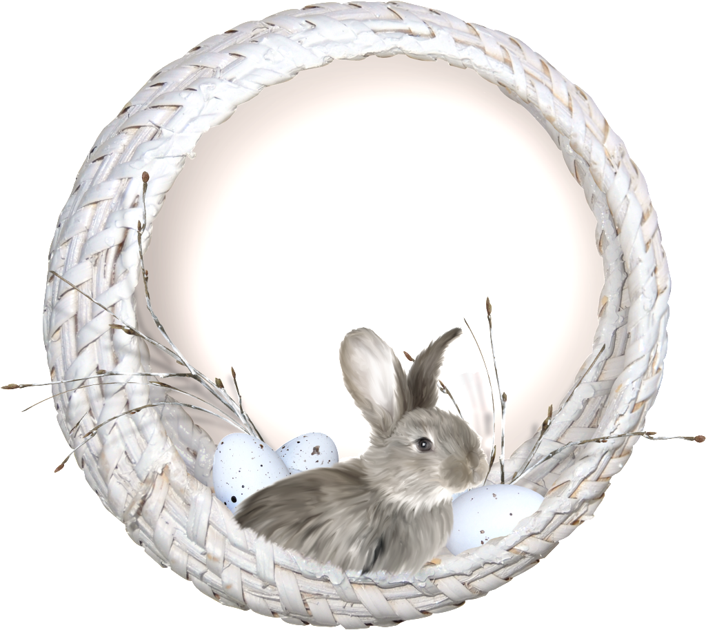 A Little Rabbit In The Nest Png Transparent - Domestic Rabbit (1024x913), Png Download