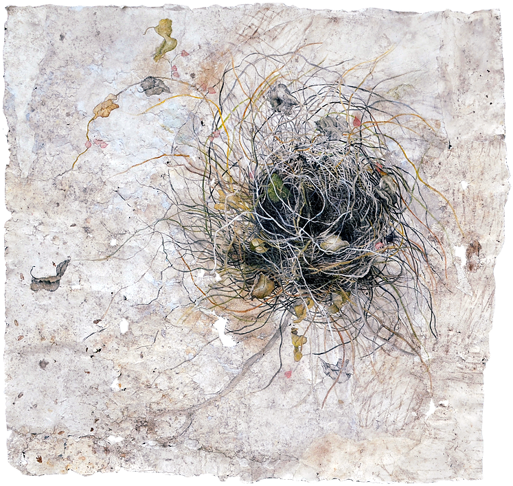 Glory - Floral Design (784x764), Png Download