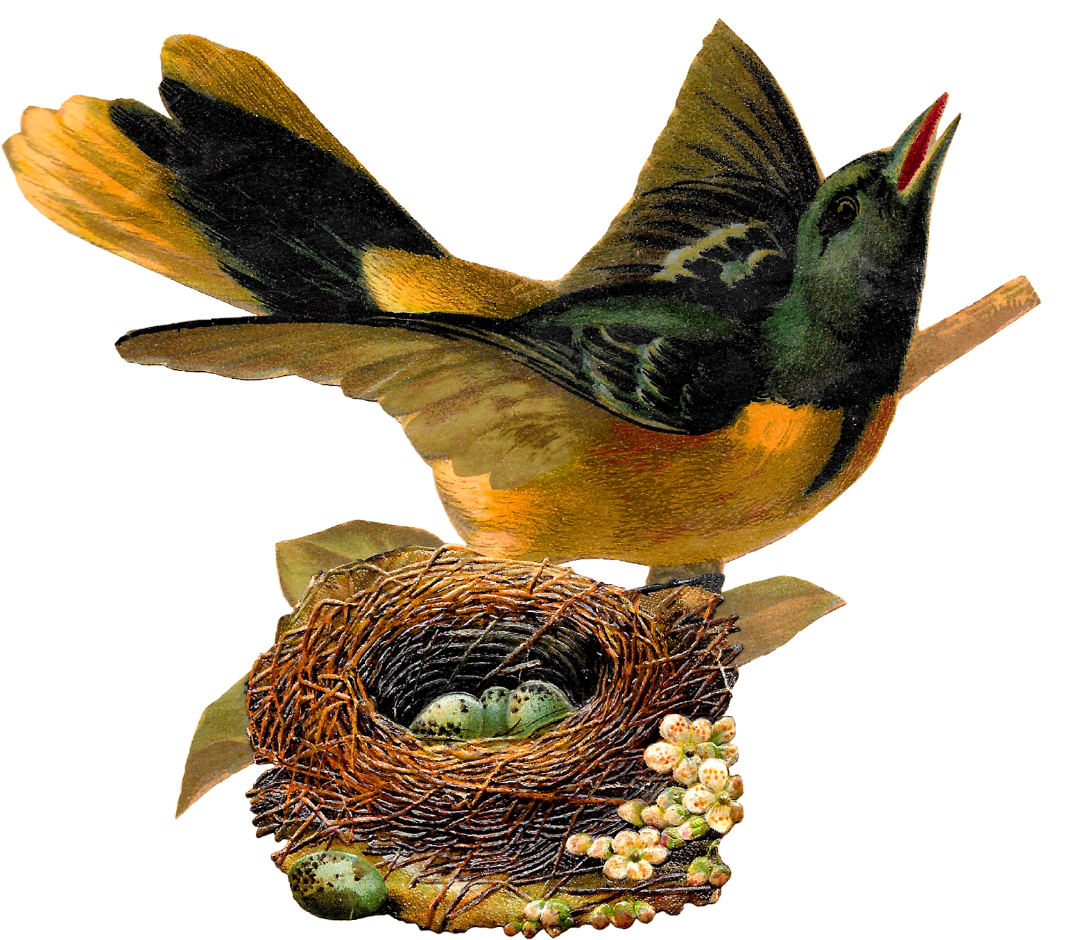 Bird Nest Eggs Oriole Image Artwork Illustration Clipart - Bird In Nest Illustration (1600x1437), Png Download