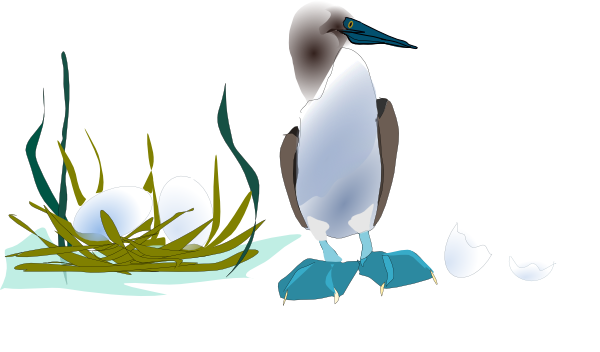 Sea Bird With Nest Svg Clip Arts 600 X 352 Px (600x352), Png Download