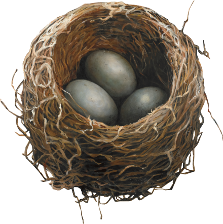Home-nest - Nest (440x442), Png Download