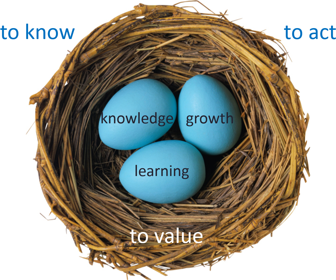 Sotl Summary Image Nest - Numbers From Nature (1479x1125), Png Download