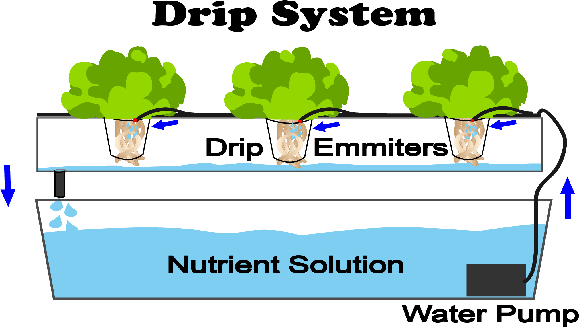 Drip Hydroponic System (2034x1174), Png Download