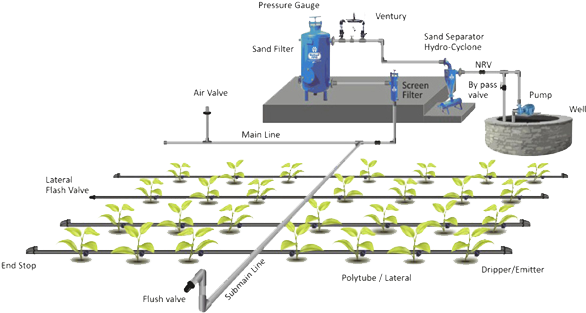 Drip Irrigation, Also Known As Trickle Irrigation Or - Component Of Drip Irrigation (585x322), Png Download