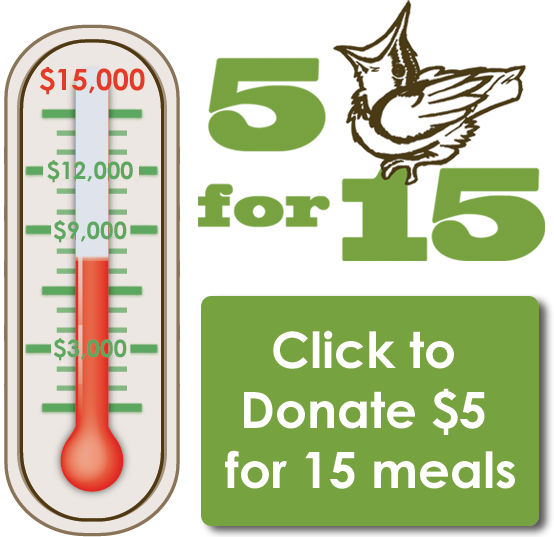 Number Of Nests Received - Bird Nest (554x537), Png Download