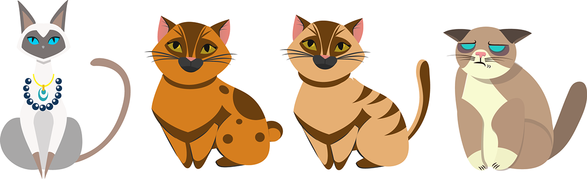 Domestic Short-haired Cat (1200x366), Png Download