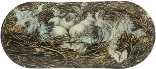 Collection Name - Skateboard Deck (500x500), Png Download