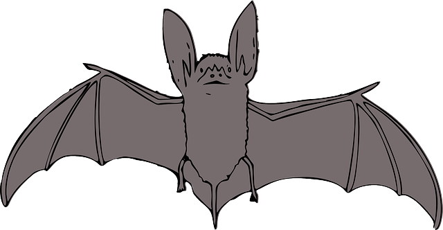 Animals, Bat, Cartoon, Bird, Cute, Night, Animal - Bat Clipart (640x332), Png Download