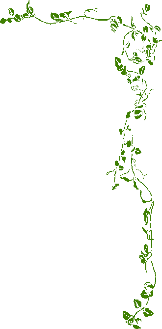 Leaf Border Black And White (330x670), Png Download