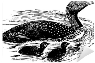 Jpg Freeuse Download Bird Red Throated With Nestlings - Red-throated Loon (400x400), Png Download