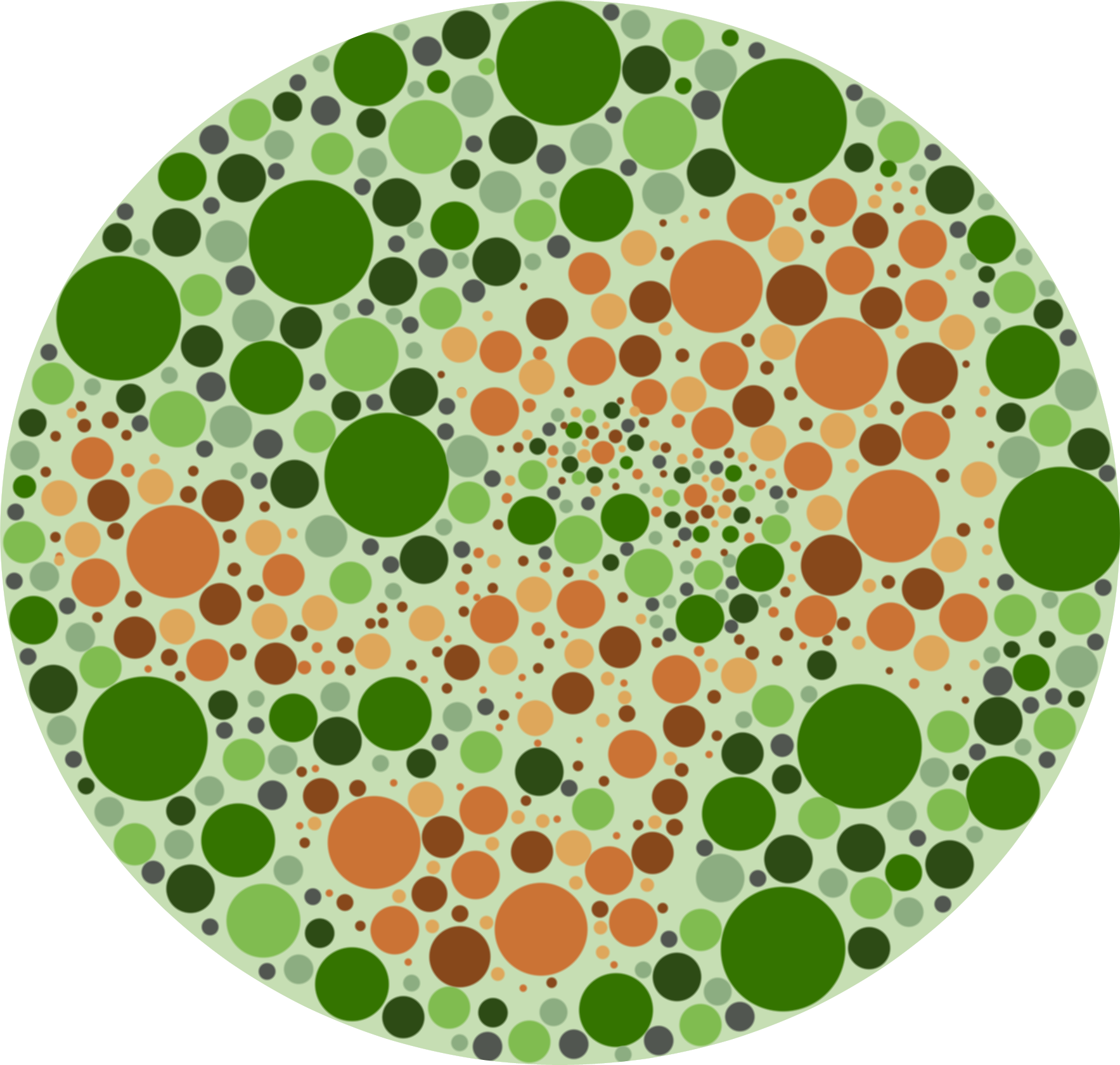 Colorblind Squids (1767x1680), Png Download