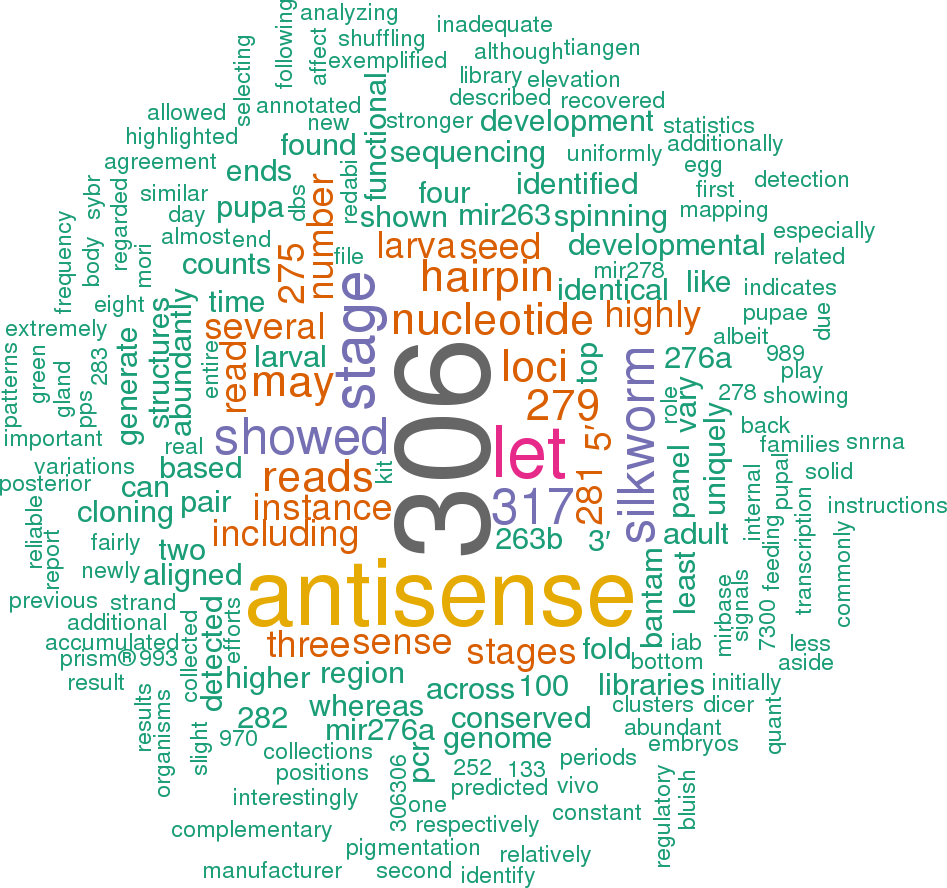 Stem Loop Sequence Bmo Mir 263a (947x888), Png Download