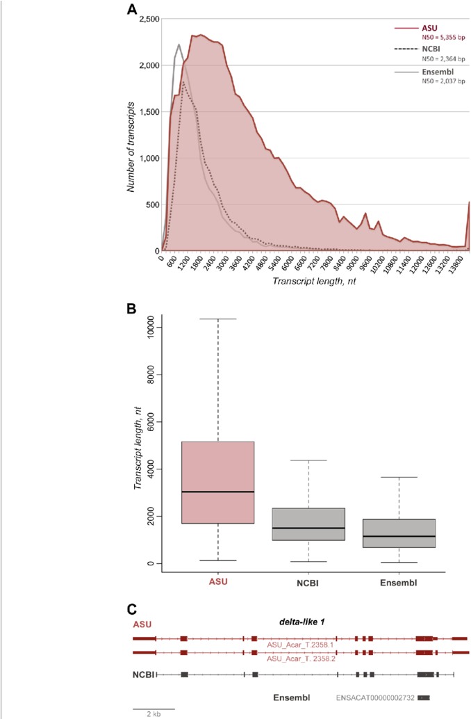 Increased N50 Transcript Length And Number Of Predicted (850x1033), Png Download