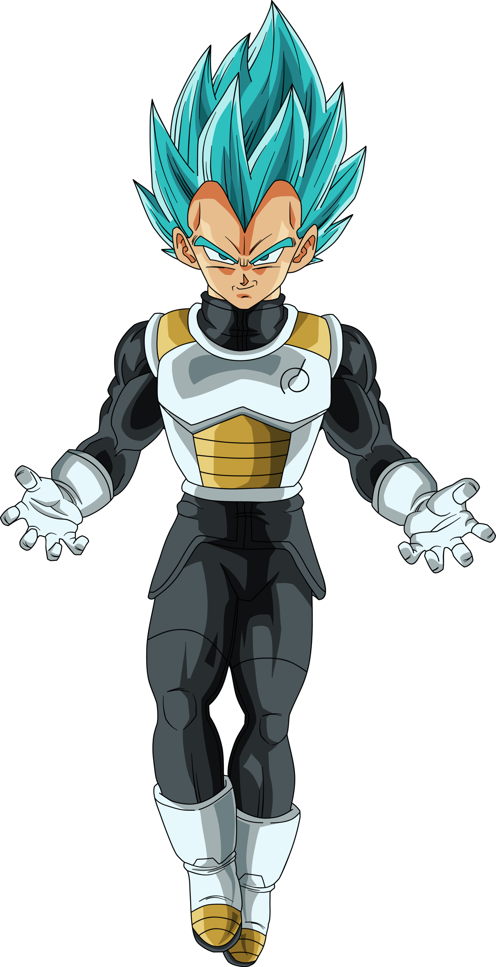 Vegeta Ssgss Png (1600x3117), Png Download