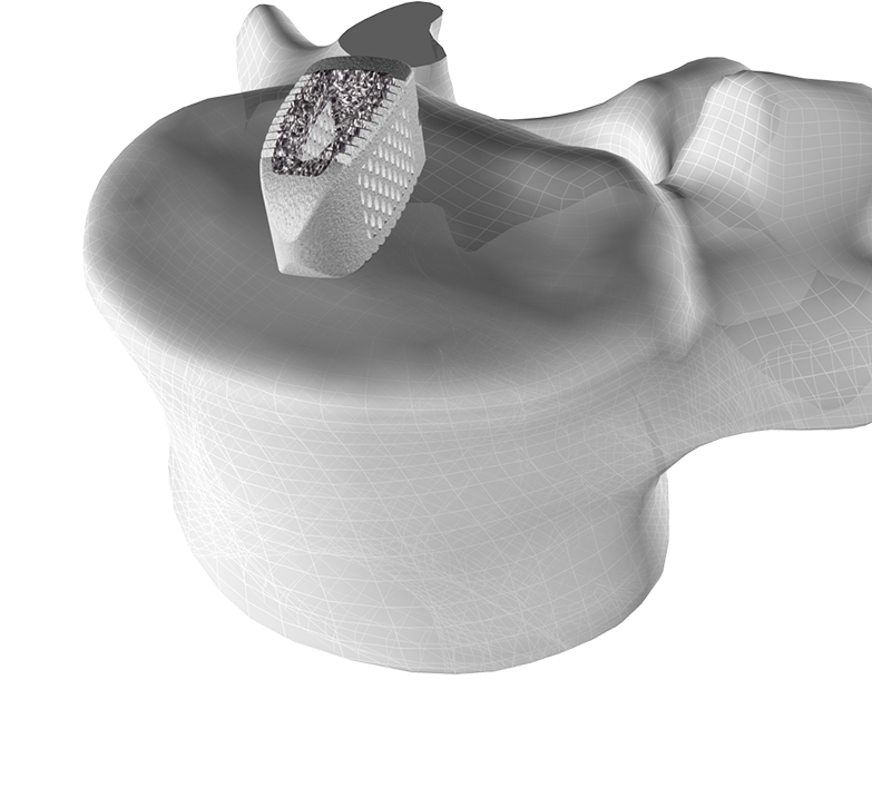 Straight Heights (800x800), Png Download