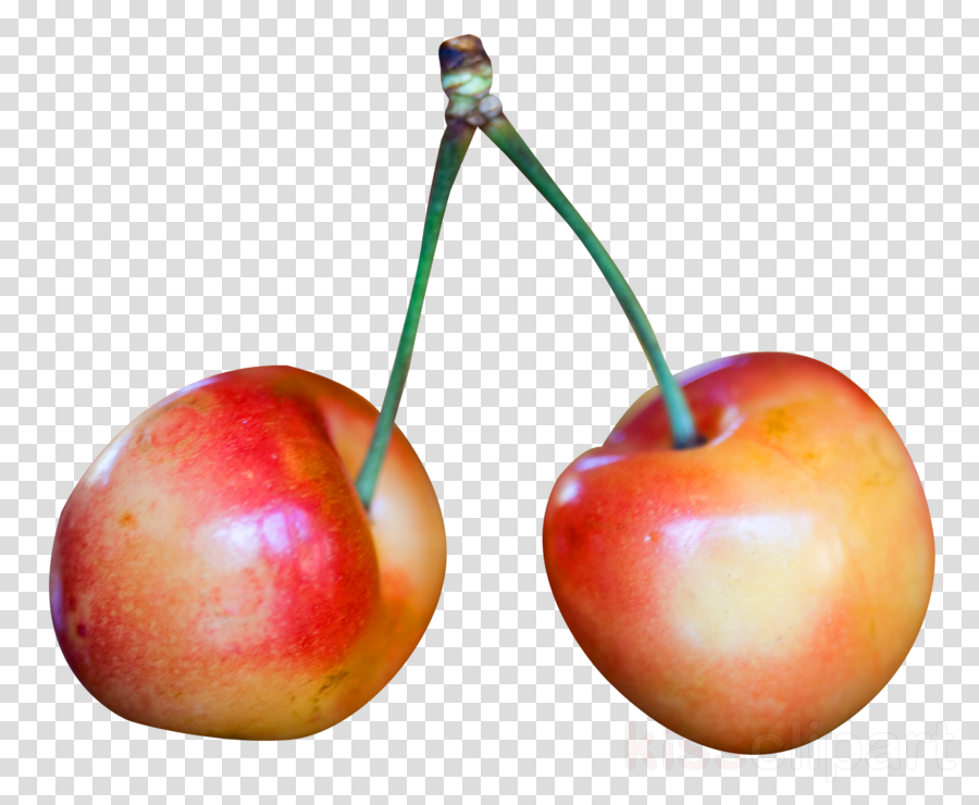 Rainier Cherry Png Clipart Cherry Pie Rainier Cherry (900x740), Png Download
