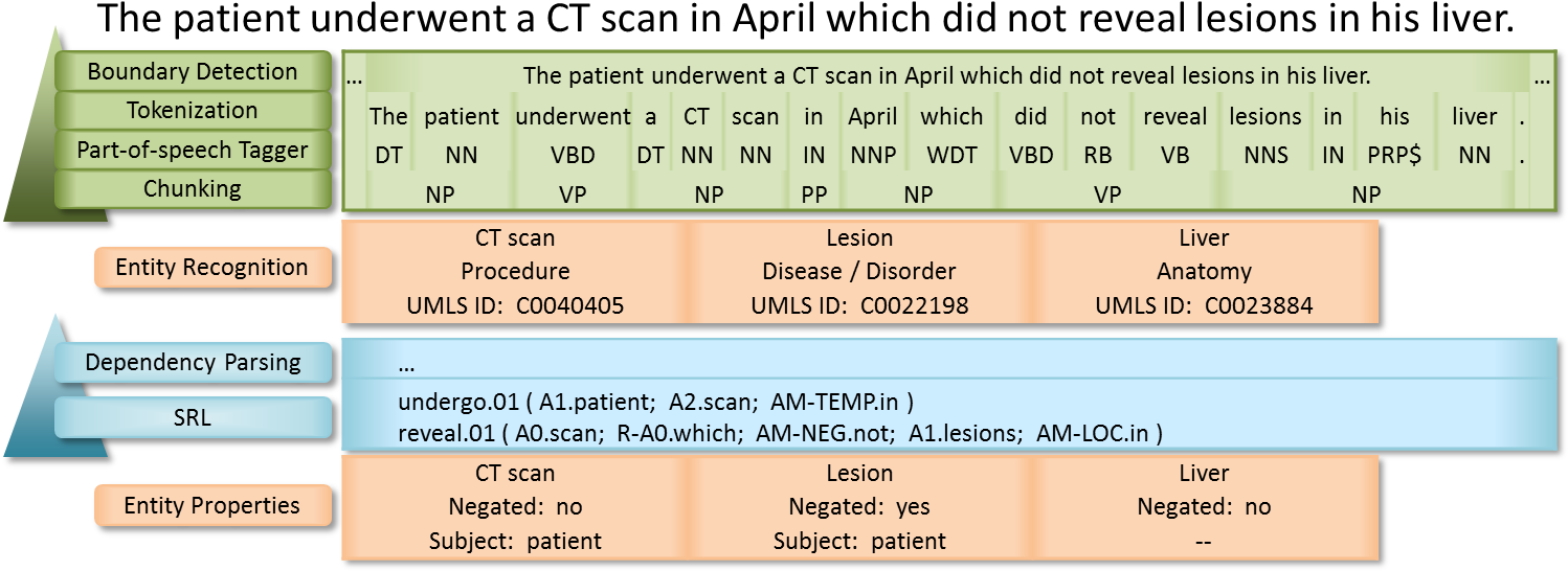 The Default Clinical Pipeline Produces The Most Commonly (1500x569), Png Download