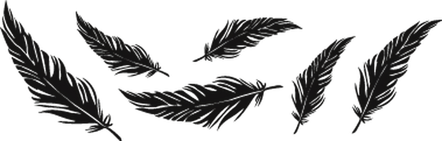 Png Overlay Edit Tumblr Plumas Feathers (1516x484), Png Download