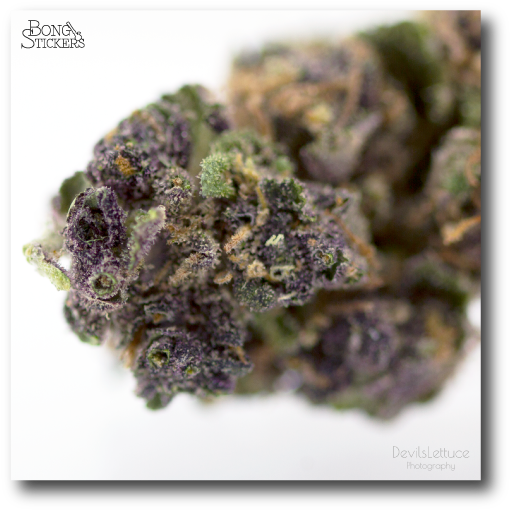 Dank Bud Weed Sticker (600x600), Png Download