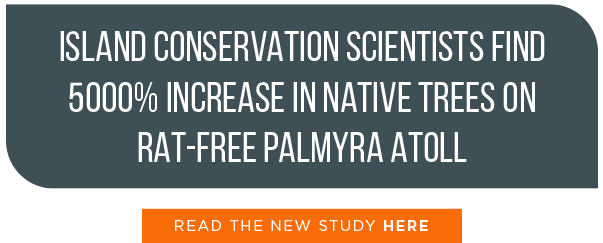 Island Conservation Scientist Coral Wolf Palmyra Atoll (617x880), Png Download