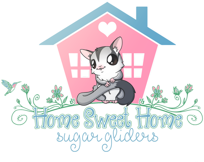Home Sweet Home Sugar Glider Lori Homer Choco Nose (1100x733), Png Download