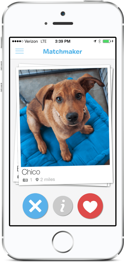 Social Media App Buffer Also Recently Released A “tinder - Tinder For Dogs (596x1156), Png Download