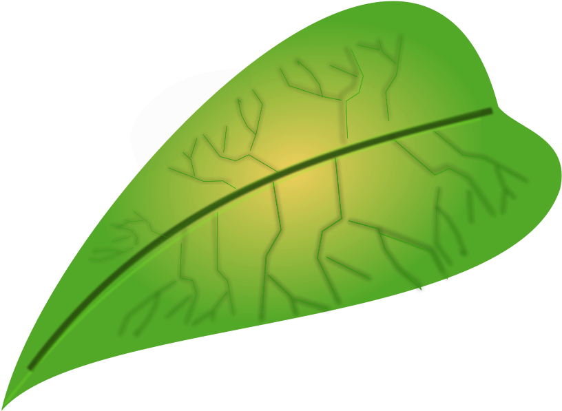 Jungle - Leaf Images Free Downloads (900x675), Png Download