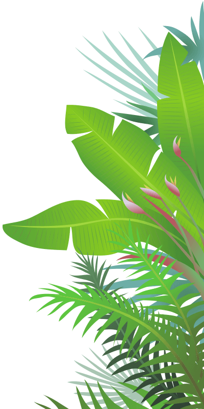 Jungle Leaves - Jungle Leaf Png (400x800), Png Download