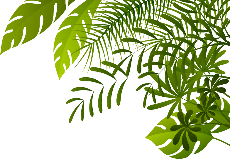 Jungle Png Image - Jungle Png (784x543), Png Download