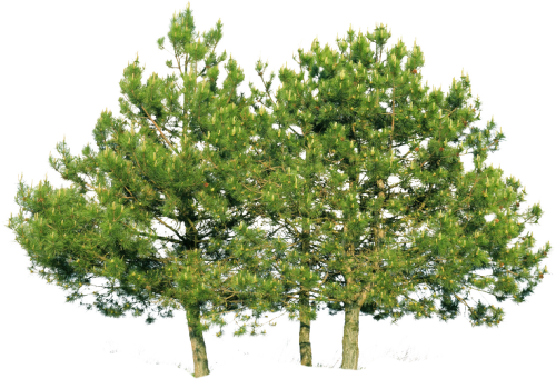 Download Our Current Price Guide Above - Hobby Lobby Wreath (500x341), Png Download