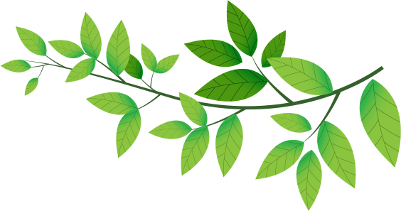 No Products In The Basket - Word Became Flesh: Studies In The Gospel Of John (564x297), Png Download