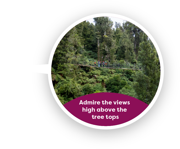 Admire The Views High Above The Tree Tops - Red Juniper (1858x784), Png Download