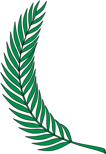 Plant - Rainforest Plant Clip Art (600x494), Png Download