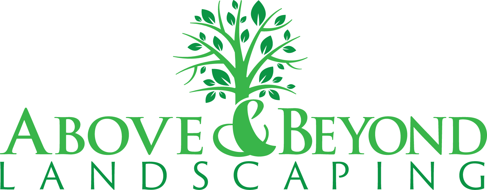 Above And Beyond Landscaping - Veterinaria (1620x633), Png Download