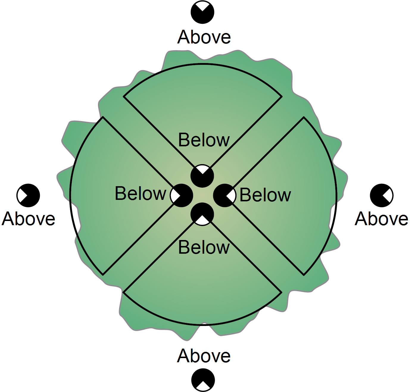 If A Tree Is Asymmetric, Then The Path Lengths Through - Diagram (1377x1331), Png Download