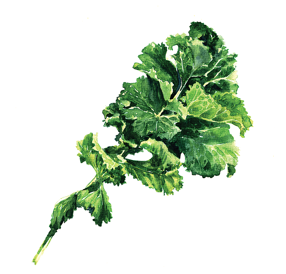Where's The Kale - Earthshine Kale Chips, 25g (1200x1150), Png Download