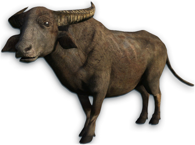 Water Buffalo Png Transparent Picture - Buffalo Png (661x497), Png Download