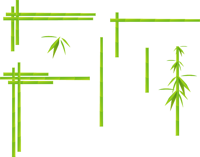 Bamboo, Corner, Grass, Japan, Jungle, Leaves, Plant - Bamboo Border Line Design (640x504), Png Download