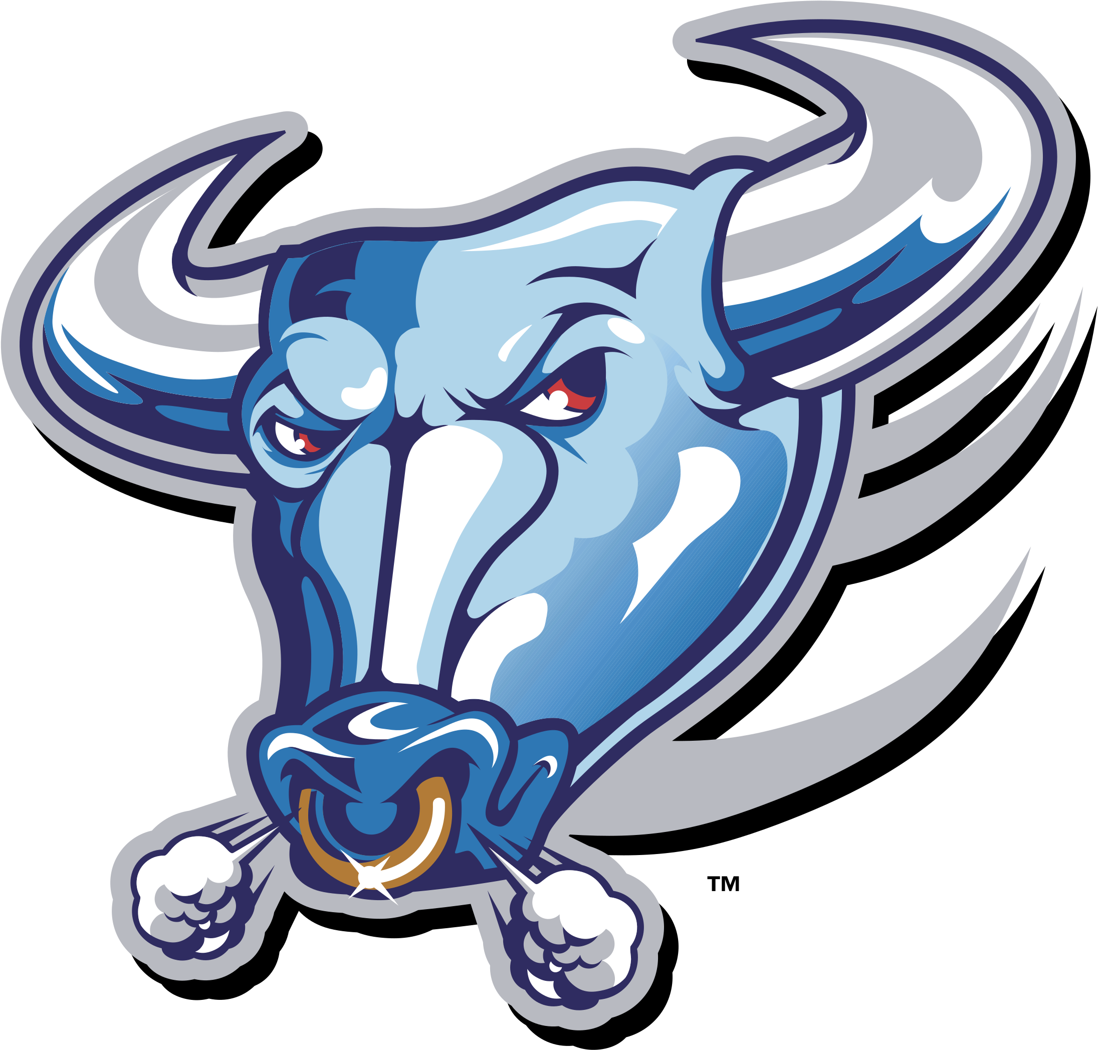Buffalo Bulls Logo Png Transparent - Buffalo Bulls Logo (2400x2400), Png Download
