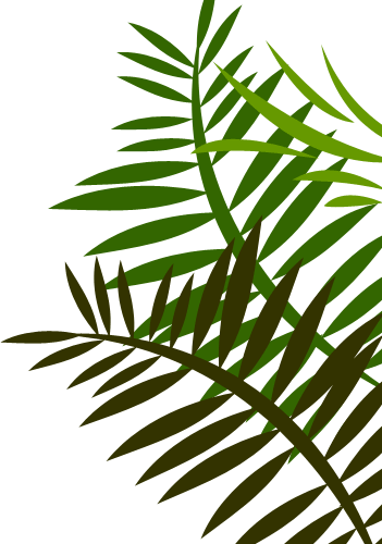 Red Fern Leaf Shower Curtain (351x500), Png Download
