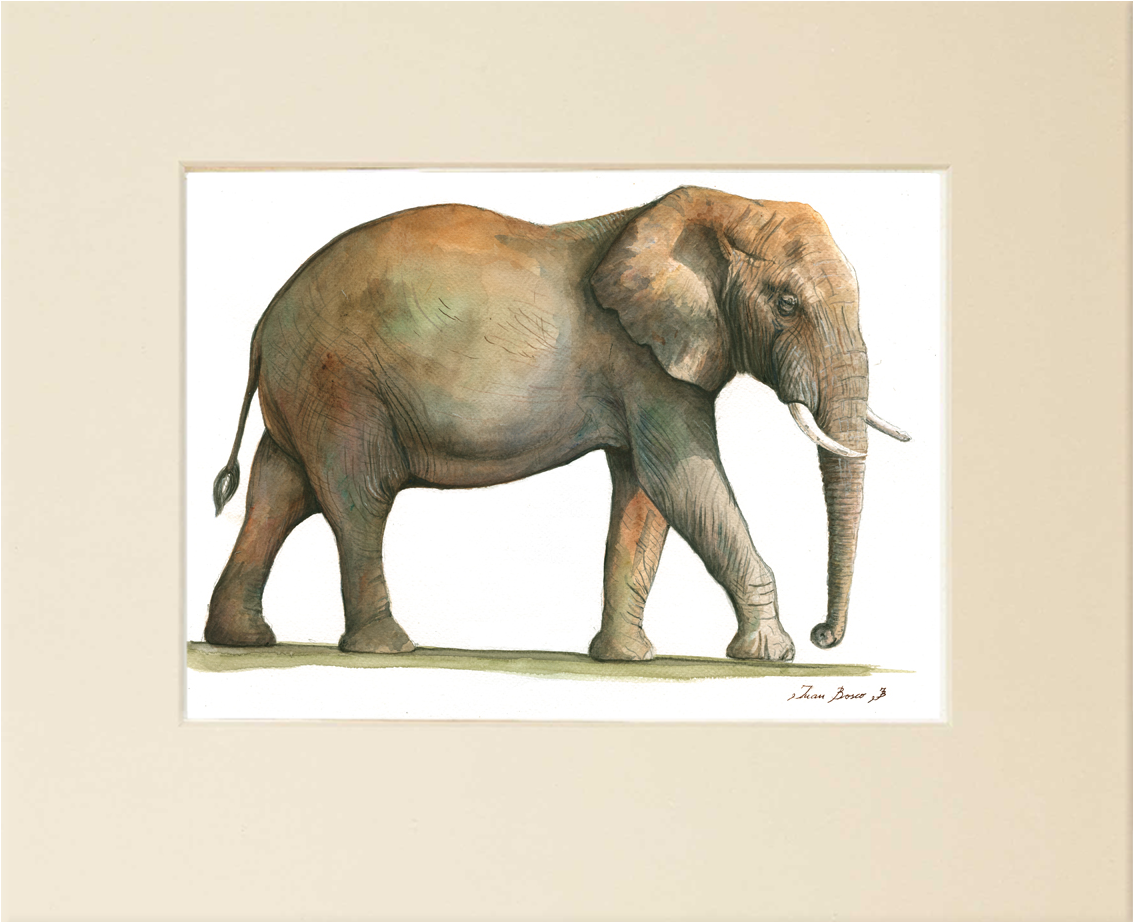 Watercolor - Painting (1229x1017), Png Download